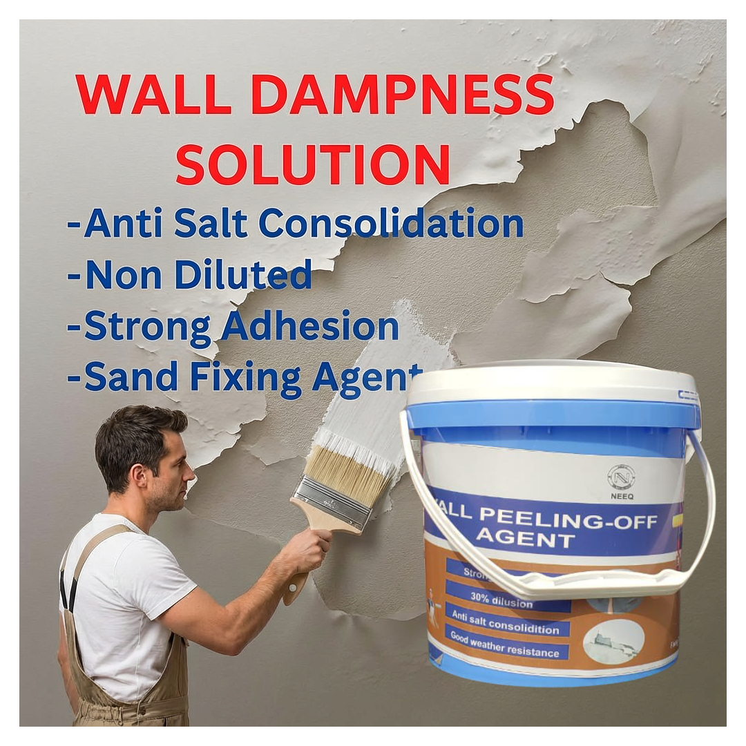 WALL DAMPNESS FIXING