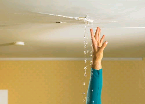WATERPROOF LEAK SEALANT SPRAY