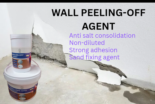WALL DAMPNESS SOLUTION