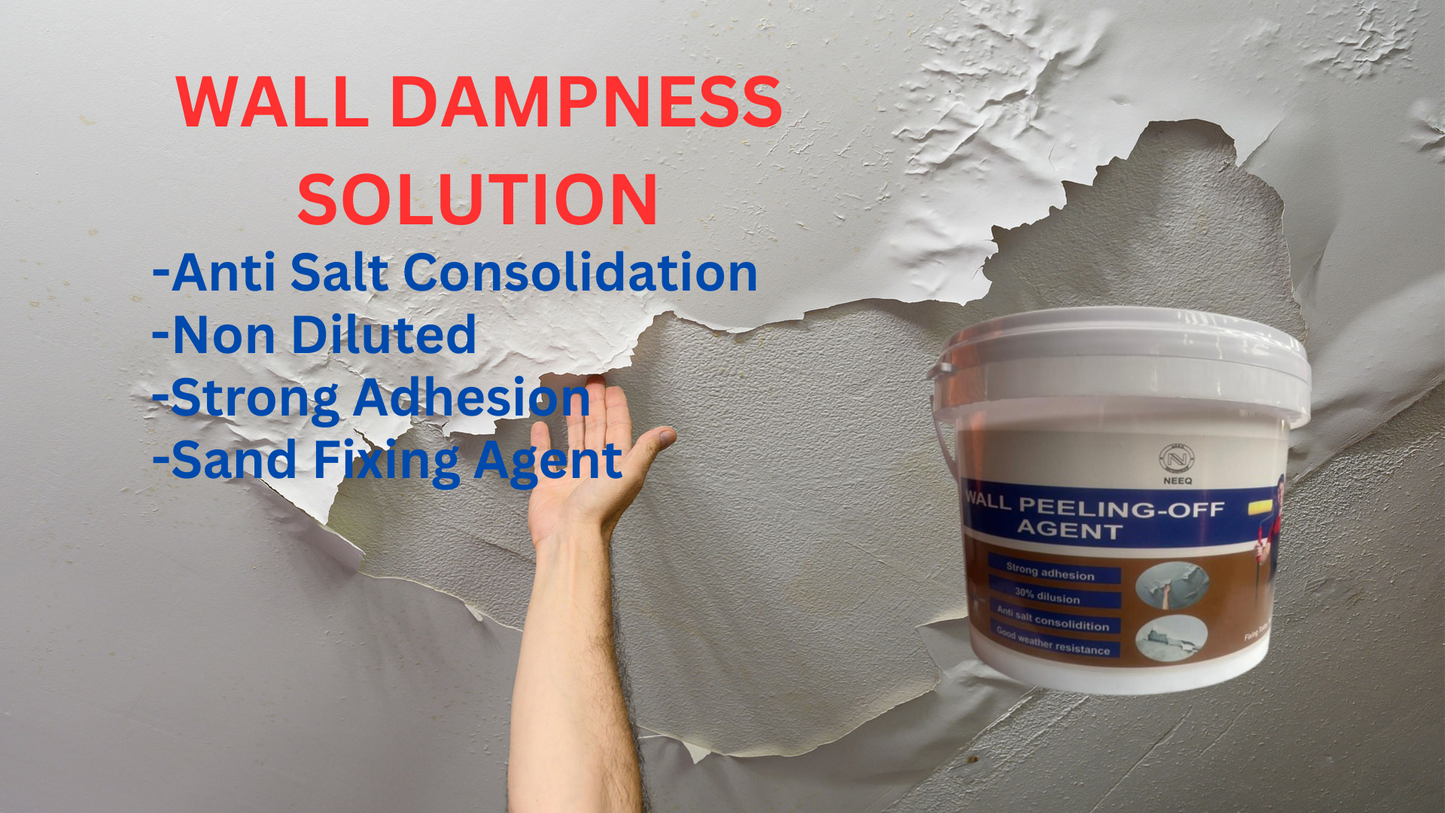 WALL DAMPNESS FIXING